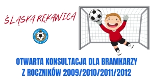 ŚLĄSKA RĘKAWICA - KOLEJNA OTWARTA KONSULTACJA DLA BRAMKARZY Z ROCZNIKÓW 2009 oraz /2010/2011/2012